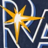Tampa-Bay-Rays-logo